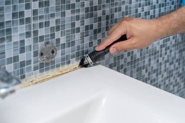 Best Best Mold Removal Companies  in La Mirada, CA